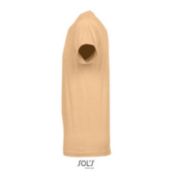 Tee-shirt homme couleur Express Sol's® Régent