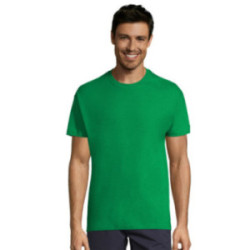 Tee-shirt homme couleur Express Sol's® Régent