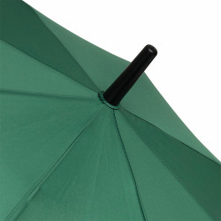 Parapluie canne tempête ouverture automatique vert foncé