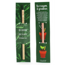 Crayon papier graines et cartonnette marquée en quadri