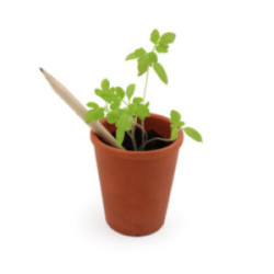 Crayon papier graines et cartonnette marquée en quadri