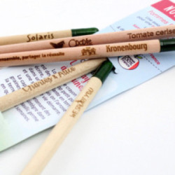 Crayon papier graines et cartonnette marquée en quadri