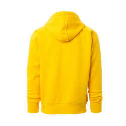 Sweat-shirt zippé à capuche homme Payper® Dallas+