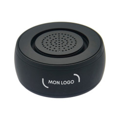 Mini enceinte Bluetooth® 5 W titane
