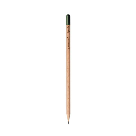 Crayon de papier à planter