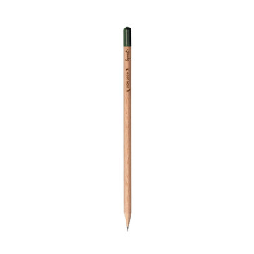 Crayon de papier à planter