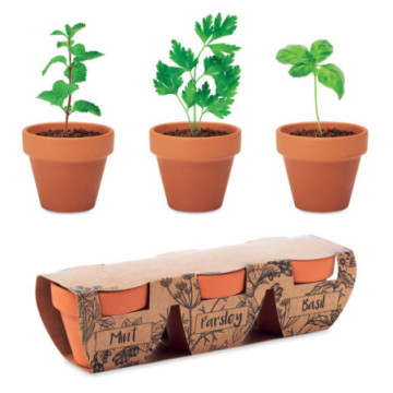 Set de 3 pots d'herbes aromatiques