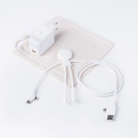 Pack câble Mr Bio Long Fast 60W et prise Ice Gan Xoopar®
