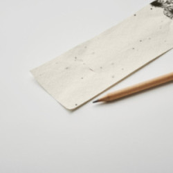 Crayon avec pochette en papier ensemencé à planter