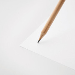 Crayon avec pochette en papier ensemencé à planter