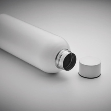 Bouteille 750 mL en acier inoxydable