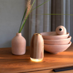 Diffuseur d'huiles essentielles Livoo®