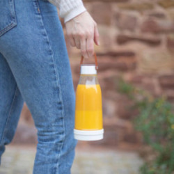 Blender portable Livoo®