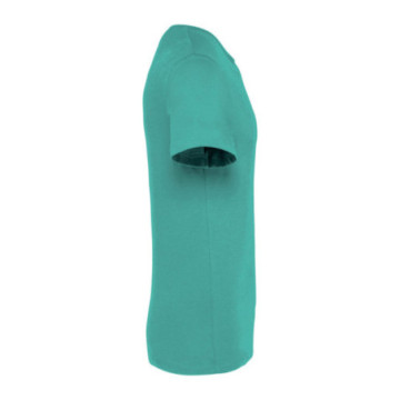 Tee-shirt mixte Native Spirit® couleur