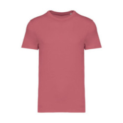 Tee-shirt mixte en coton bio Native Spirit® couleur