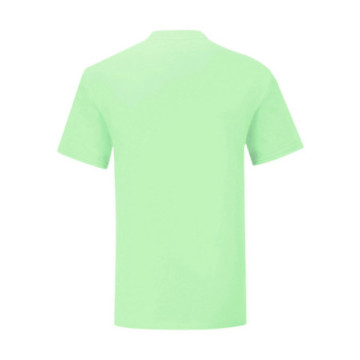 Tee-shirt homme Fruit of the Loom® Iconic-T couleur