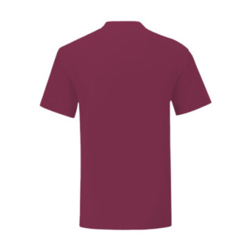 Tee-shirt homme Fruit of the Loom® Iconic-T couleur