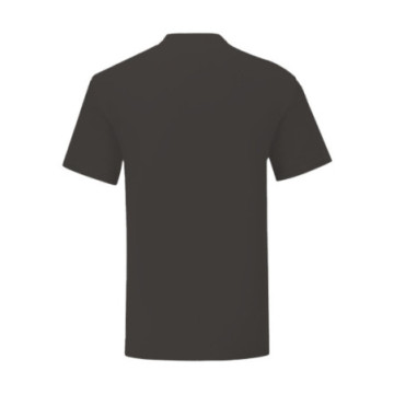 Tee-shirt homme Fruit of the Loom® Iconic-T couleur