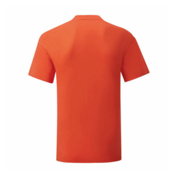 Tee-shirt homme Fruit of the Loom® Iconic-T couleur