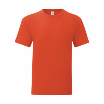 Tee-shirt homme Fruit of the Loom® Iconic-T couleur