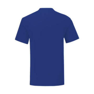 Tee-shirt homme Fruit of the Loom® Iconic-T couleur