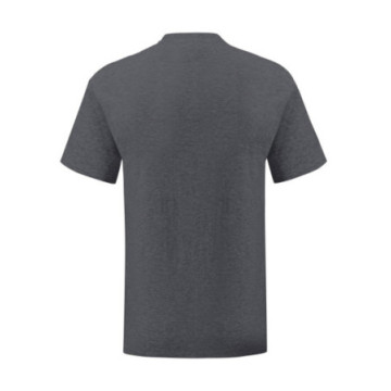 Tee-shirt homme Fruit of the Loom® Iconic-T couleur