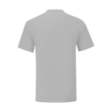 Tee-shirt homme Fruit of the Loom® Iconic-T couleur