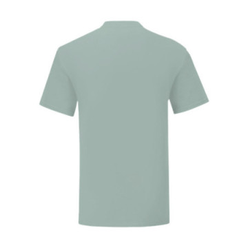 Tee-shirt homme Fruit of the Loom® Iconic-T couleur