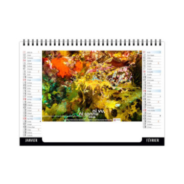 Chevalet spirale petit format