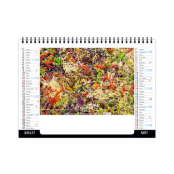 Chevalet spirale petit format