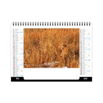 Chevalet spirale petit format