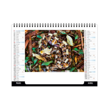 Chevalet spirale petit format