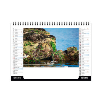 Chevalet spirale petit format