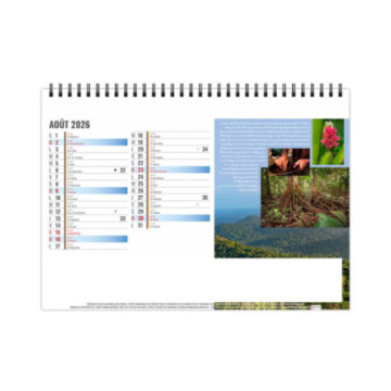 Chevalet spirale grand format