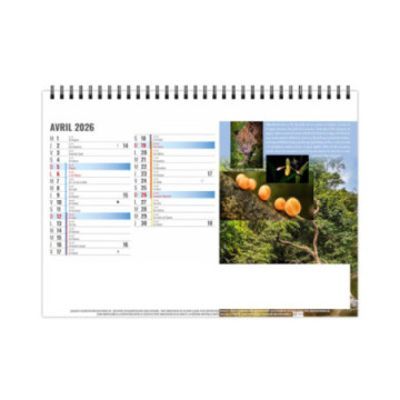 Chevalet spirale grand format