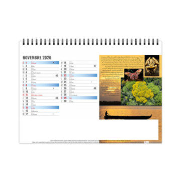 Chevalet spirale grand format