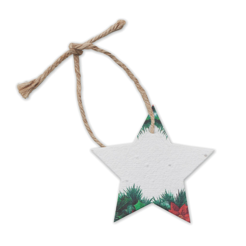 Etoile de Noël en papier ensemencé