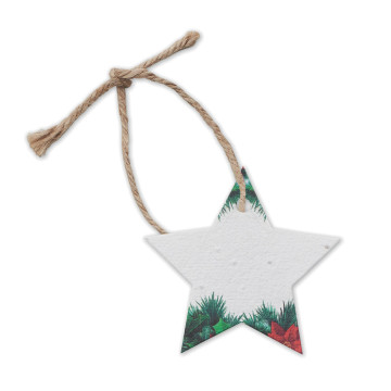 Etoile de Noël en papier ensemencé
