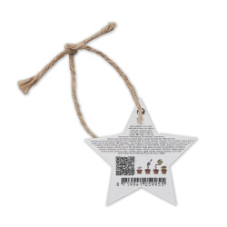 Etoile de Noël en papier ensemencé