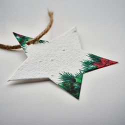 Etoile de Noël en papier ensemencé
