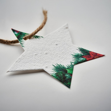 Etoile de Noël en papier ensemencé