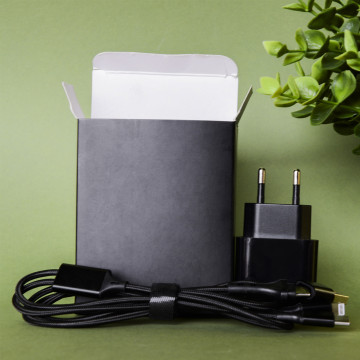 CABLE DE CHARGEMENT 20 W + CHARGEUR - COULEUR