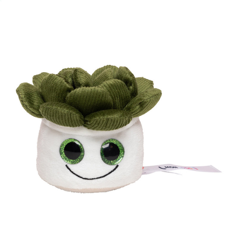 Peluche nettoyeur d'écran plante succulent