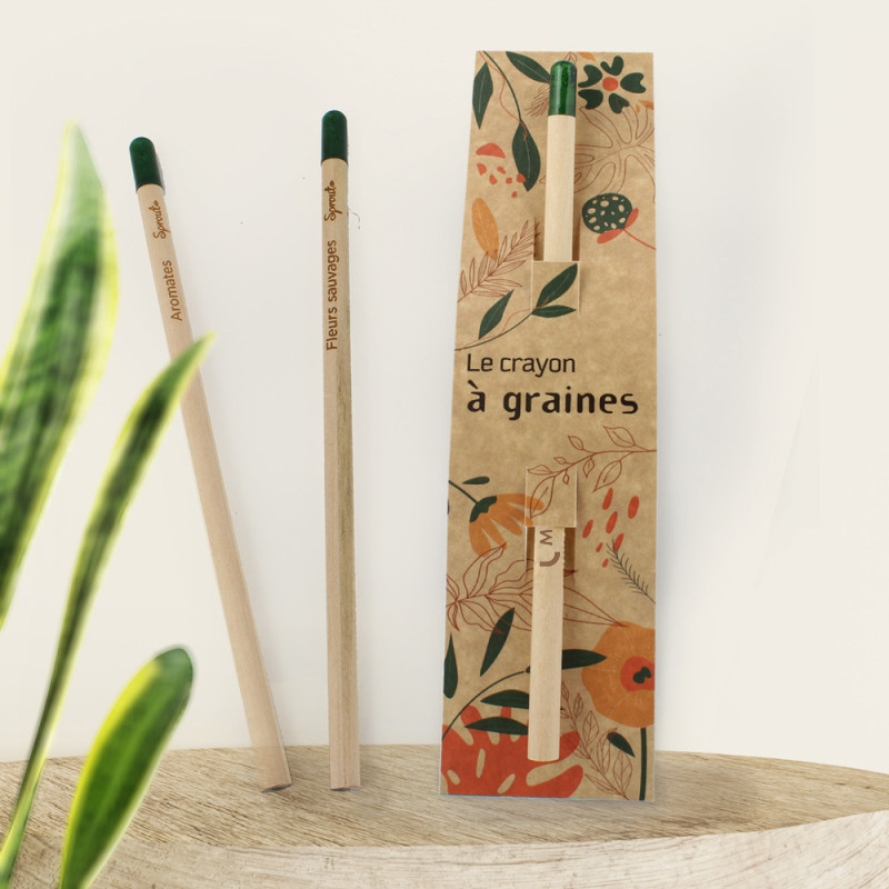 Crayon papier graines et cartonnette standard