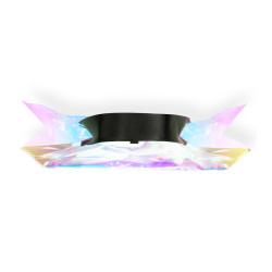 Grand sac holographique