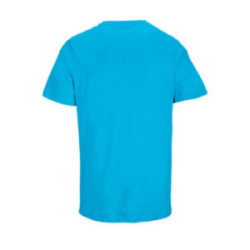 Tee-shirt mixte Sol's® Legend couleur