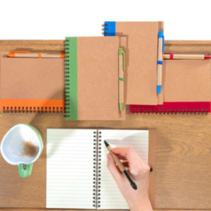 Carnet de notes recyclé A5 à spirales avec stylo