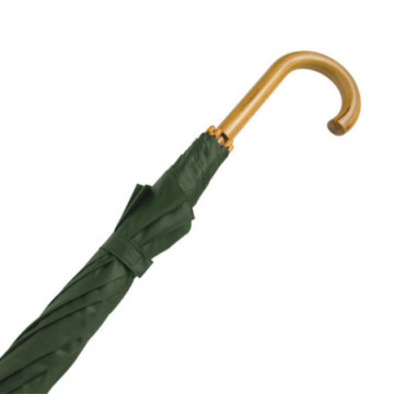 Parapluie canne ouverture automatique vert foncé