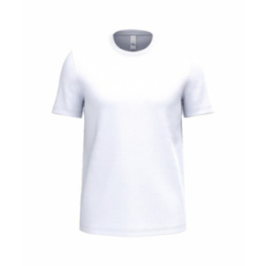 Tee-shirt mixte iDeal Basic® iDeal170 blanc