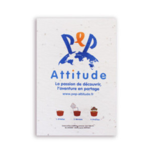 Carte ensemencée biodégradable 250 g